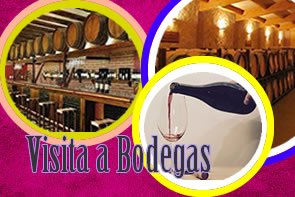 Bodegas cercanas a la ciudad