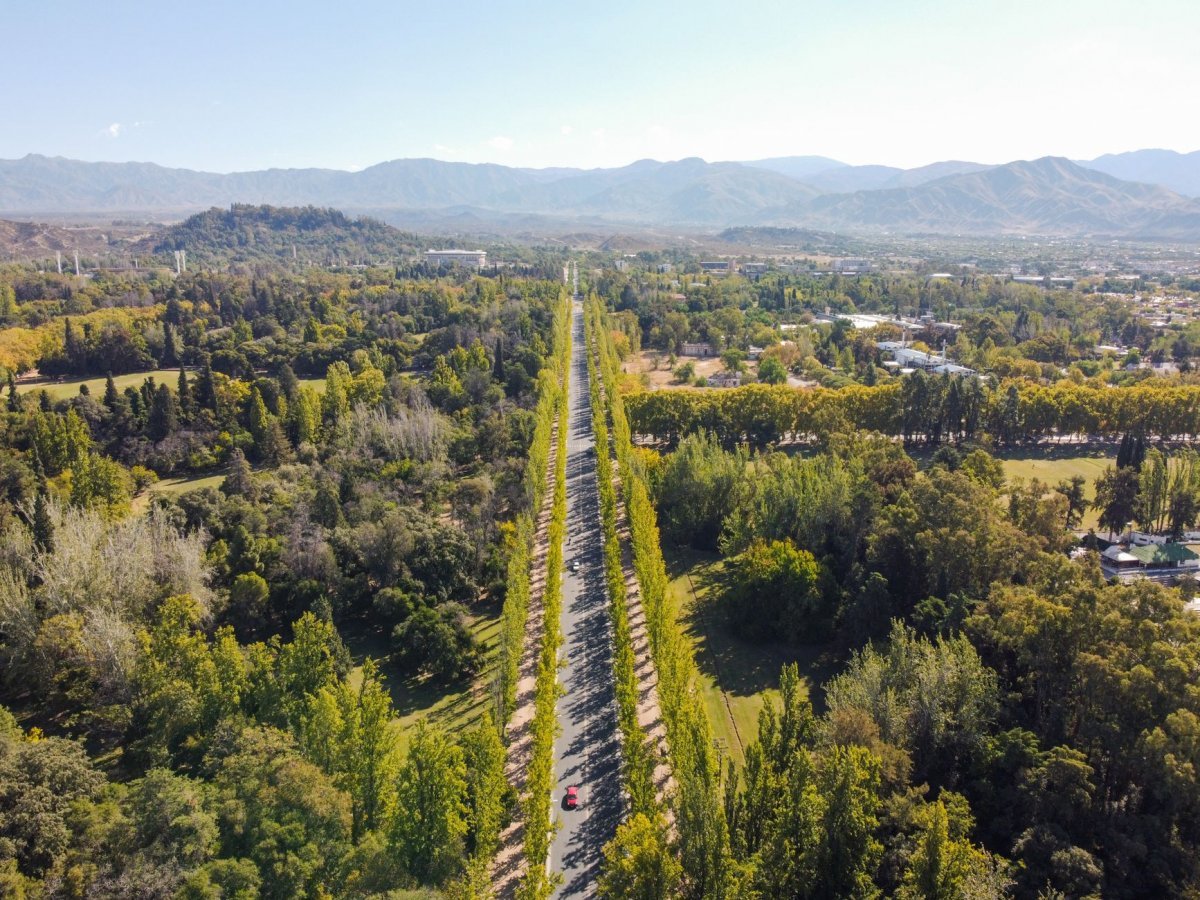 vista aérea laberinto de Borges San Rafael Mendoza